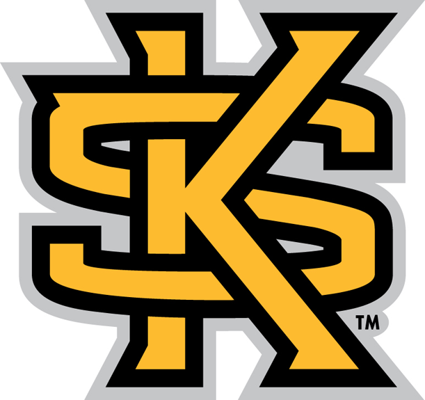 Kennesaw State Owls 2012-Pres Secondary Logo iron on paper